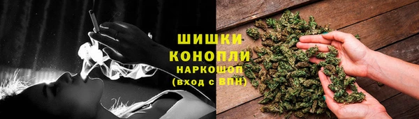 apvp Дмитриев