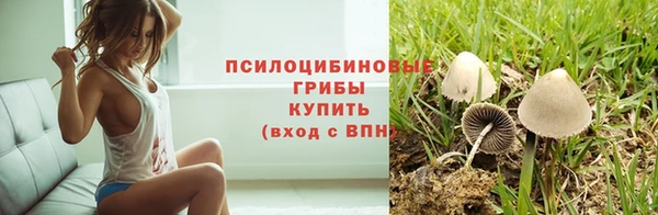 МДМА Дмитров